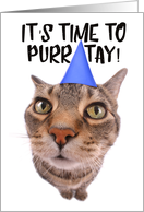 Cute Kitty Cat Party Invitation card