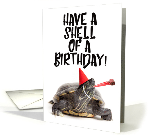 Have a Shell of a Birthday Turtle card (1519624)