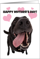 Happy Mother’s Day Cute Dog card