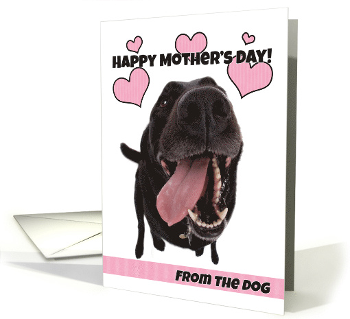 Happy Mother's Day From The Dog card (1520380)