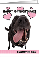 Happy Mother’s Day From The Dog card