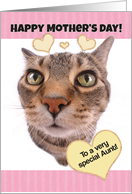 Funny Cat Happy Mother’s Day to a Very Special Aunt card