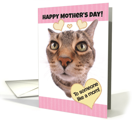 Funny Cat Happy Mother's Day to Someone Like a Mom card (1520400)