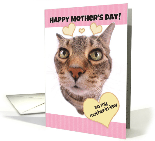 Funny Cat Happy Mother's Day to Mother-in-Law card (1520402)