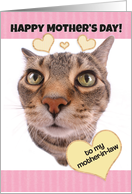 Funny Cat Happy Mother’s Day to Mother-in-Law card