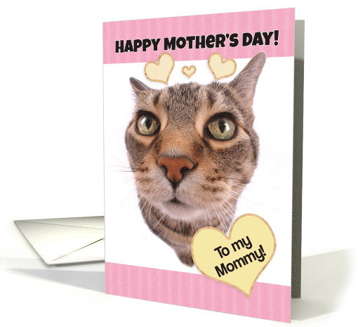 Funny Cat Happy Mother's Day to My Mommy card (1520404)