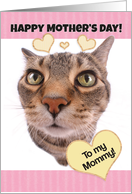 Funny Cat Happy Mother’s Day to My Mommy card