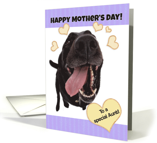 Funny Dog Happy Mother's Day to a Special Aunt card (1520406)