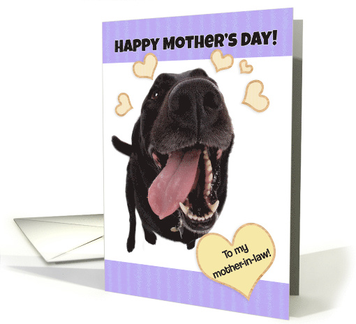 Funny Dog Happy Mother's Day to Mother-in-Law card (1520418)