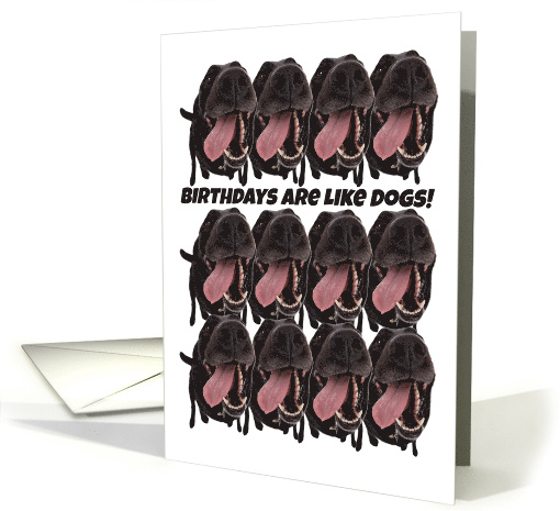 Birthdays Are Like Dogs You Can Never Have Too Many card (1520586)