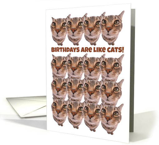 Birthdays Are Like Cats You Can Never Have Too Many card (1520590)