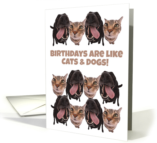 Birthdays Are Like Cats and Dogs You Can Never Have Too Many card