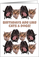 Birthdays Are Like Cats and Dogs You Can Never Have Too Many card