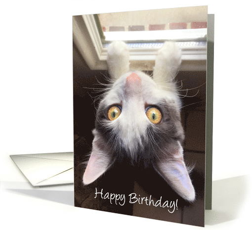 Happy Birthday Cute Kitten card (1520964)