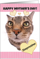 Happy Mother’s Day Stepmother Cute Cat card