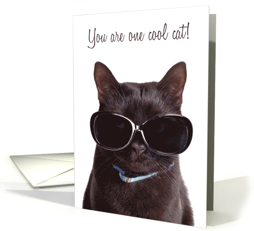 Cool Cat Happy Purr-thday Birthday Humor card (1521408)