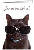 Cool Cat Happy Purr-thday Birthday Humor card