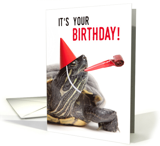 Turtle-y Awesome Happy Birthday card (1521654)