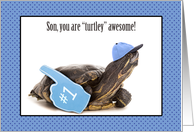 Turtley Awesome...