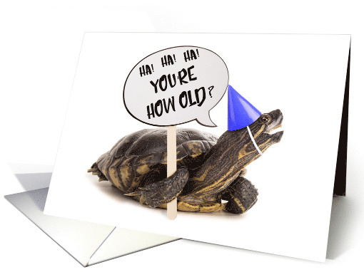 Turtle Happy Birthday Humor card (1521886)