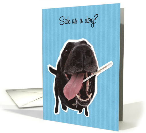 Sick as a Dog Get Well Soon card (1522014)
