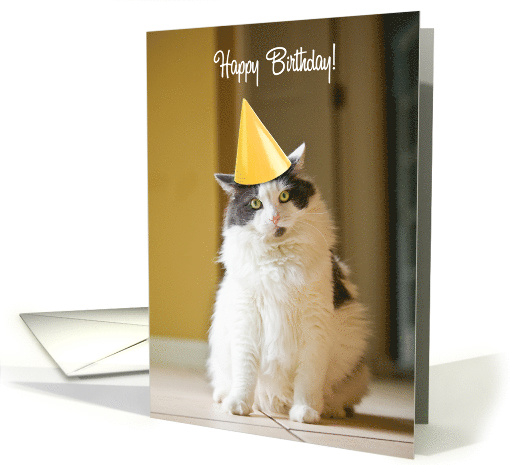 Humorous Cat Happy Birthday, Where's the Cake? card (1522026)