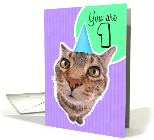 Happy First Birthday Kitty Cat card (1522056)