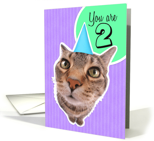 Happy Second Birthday Kitty Cat card (1522060)