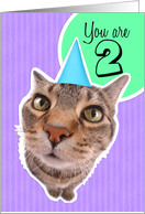 Happy Second Birthday Kitty Cat card