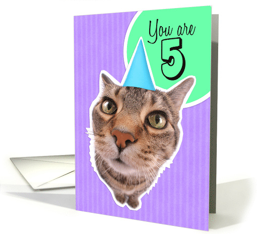 Happy Fifth Birthday Kitty Cat card (1522066)