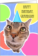 Happy Birthday Grandson Kitty Cat card