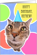 Happy Birthday Nephew Kitty Cat card