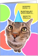 Happy Birthday Niece Kitty Cat card