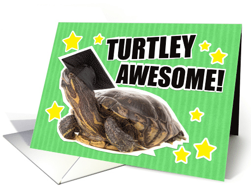 Turtley Awesome Congratulations Graduate card (1522524)