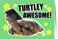 Turtley Awesome Congratulations Graduate card