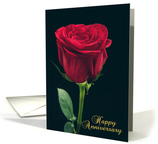 Happy Anniversary Beautiful Red Rose card (1522572)