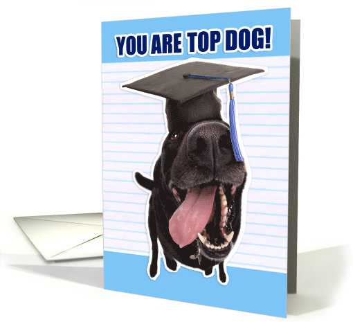 Congratulations Graduate You Are Top Dog card (1523276)