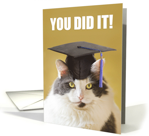 Congratulations You Did It Graduate For Anyone card (1523314)