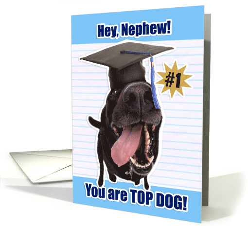 Congratulations Nephew Graduate You Are Top Dog card (1523534)