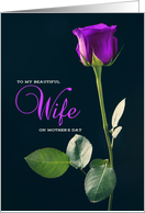 Happy Mother’s Day Wife Purple Rose card