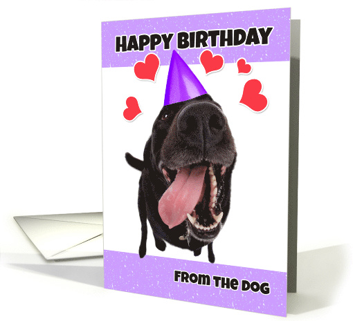 Happy Birthday From The Dog card (1524144)