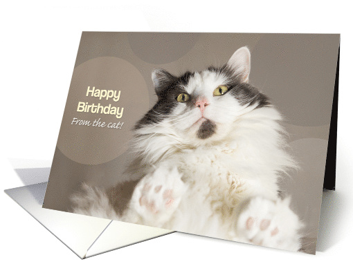 Happy Birthday From The Cat card (1524266)