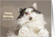 Happy Birthday From The Cat card