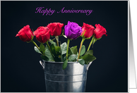 Happy Anniversary Day One Unique Purple Rose For Spouse card