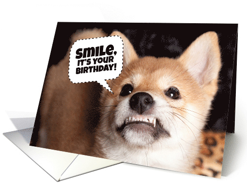 Happy Birthday Smiling Shiba Inu Puppy Dog Humor card (1524756)