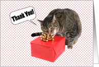 Thank You Cute Cat Opening Present card