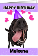Happy Birthday Custom Name Funny Dog card