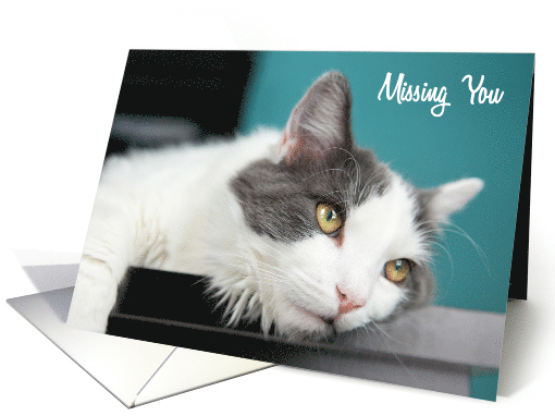 Missing You Sad Kitty Cat card (1525030)