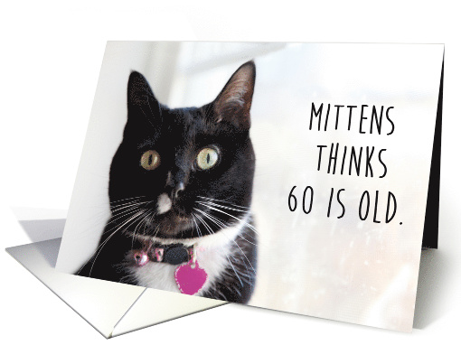 Happy Birthday Humor Cat Thinks 60 is Old card (1525190)