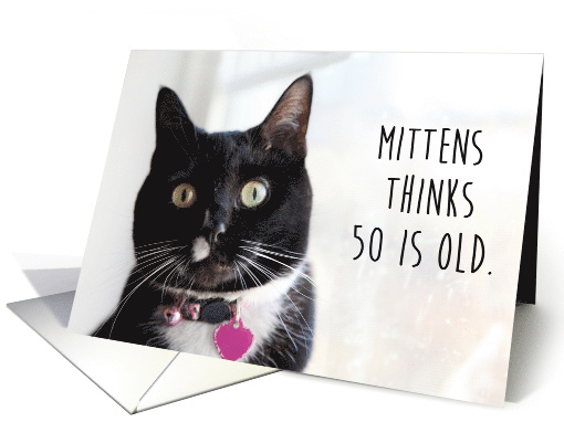 Happy Birthday Humor Cat Thinks 50 is Old card (1525194)